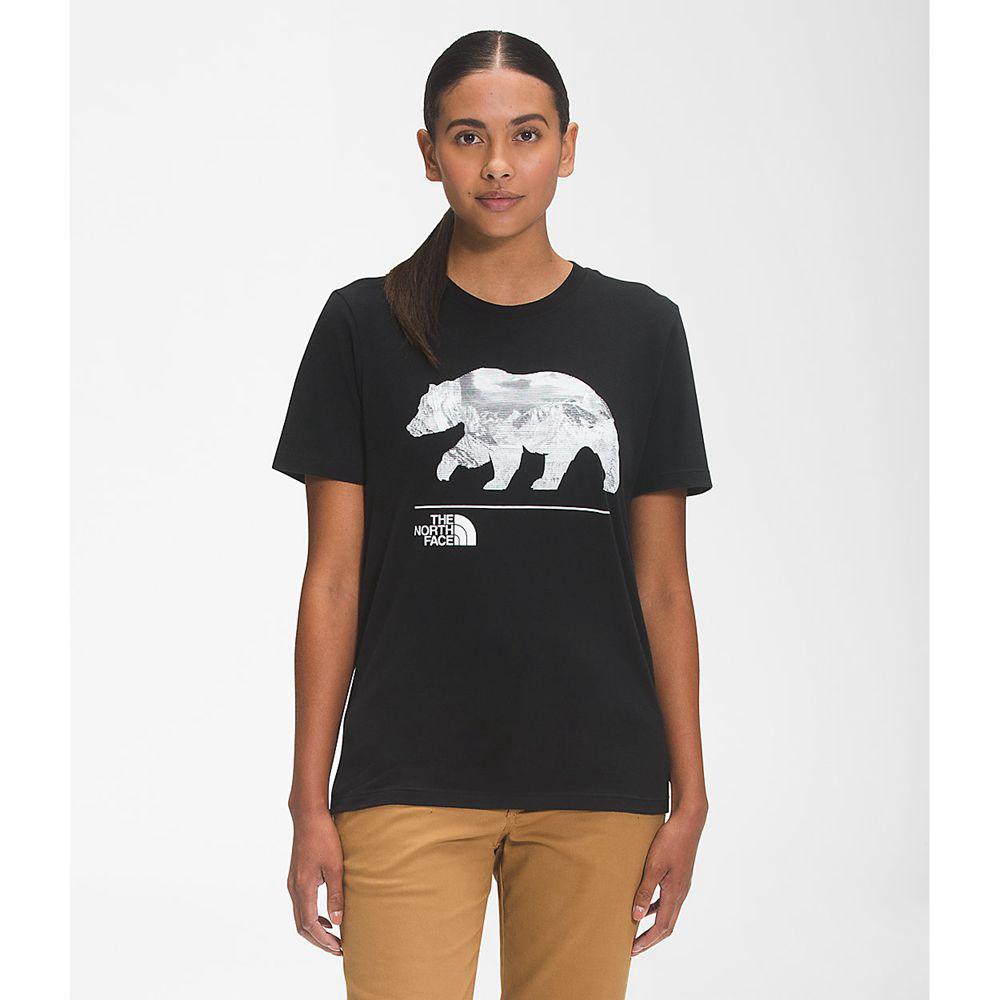 The North Face Κοντό Μανίκι Bearscape 2.0 Γυναικεια T Shirt - Μαυρα / Γκρι (KJNH71286)